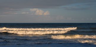 Brevard Beaches Beach