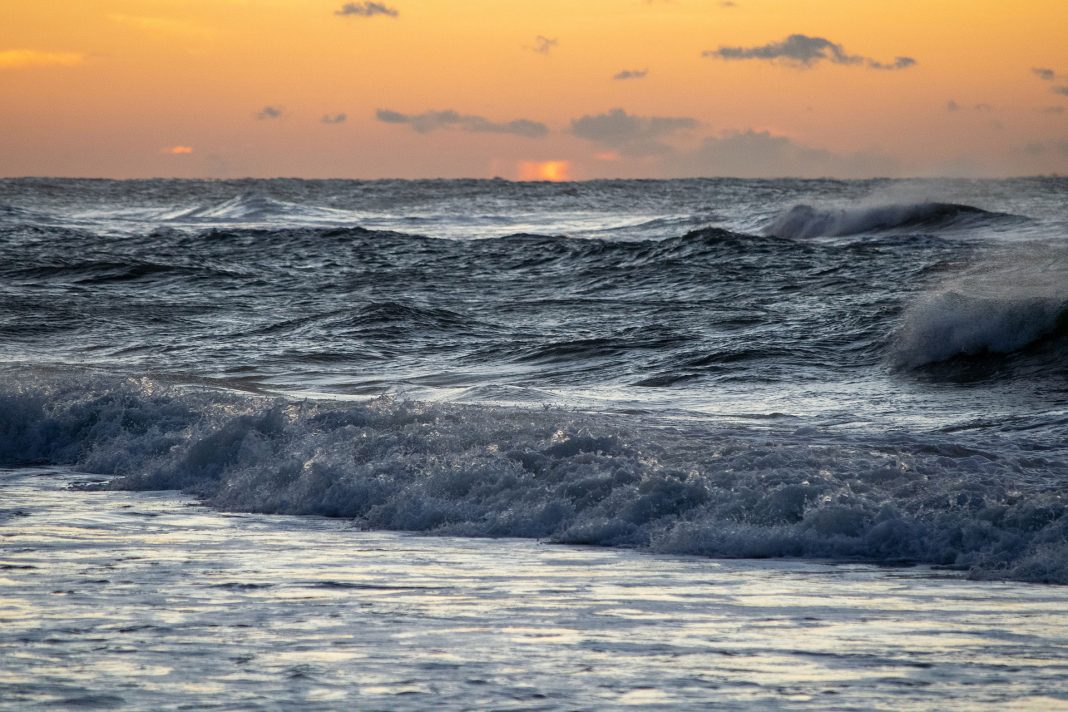 Surf in Florida